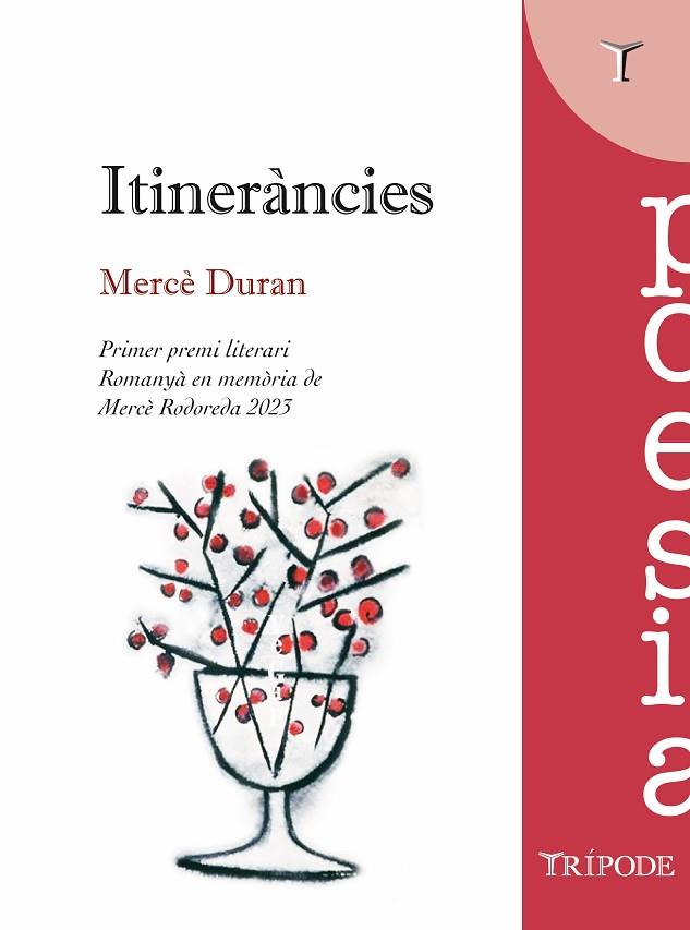 ITINERÀNCIES | 9788412728941 | DURAN, MERCÈ