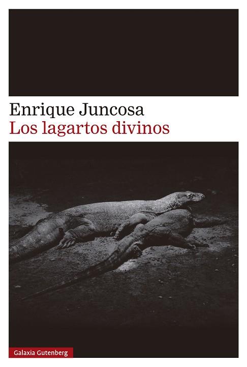 LOS LAGARTOS DIVINOS | 9788410107526 | JUNCOSA, ENRIQUE