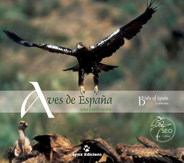 AVES DE ESPAÑA (PANORAMICO) | 9788487334566 | LYNX EDICIONS/VARIOS AUTORES