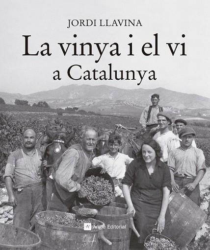 LA VINYA I EL VI A CATALUNYA | 9788416139187 | LLAVINA, JORDI