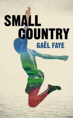 SMALL COUNTRY - 50% APLICAT | 9781784741594 | FAYE, GAËL