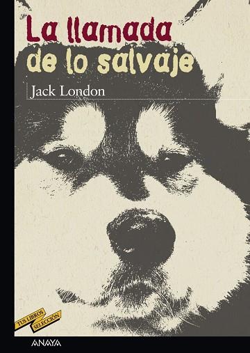 LA LLAMADA DE LO SALVAJE | 9788466715638 | LONDON, JACK