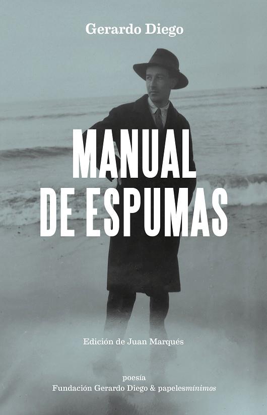 MANUAL DE ESPUMAS | 9788412511574 | DIEGO, GERARDO