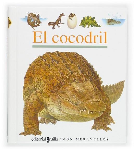 EL COCODRIL | 9788466106191 | GALLIMARD JEUNESSE, ÉDITIONS