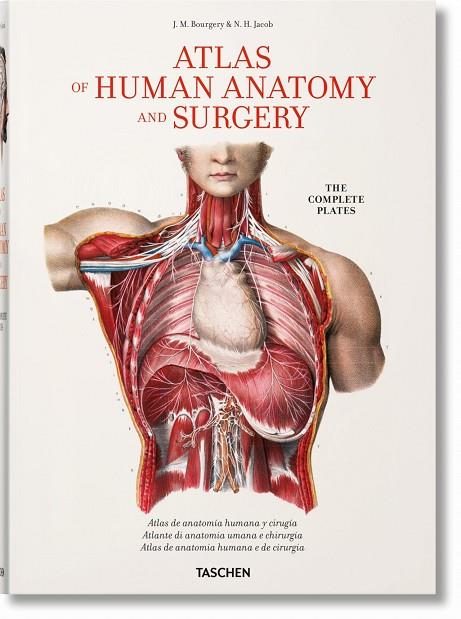 BOURGERY. ATLAS DE ANATOMÍA HUMANA Y CIRUGÍA  | 9783836568999 | MINOR, JEAN-MARIE LE/SICK, HENRI