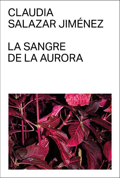 LA SANGRE DE LA AURORA | 9788412782745 | SALAZAR JIMÉNEZ, CLAUDIA