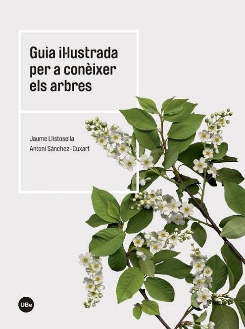 GUIA IL·LUSTRADA PER A CONÈIXER ELS ARBRES | 9788447542444 | LLISTOSELLA VIDAL, JAUME