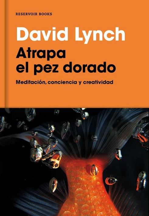 ATRAPA EL PEZ DORADO | 9788416709014 | LYNCH, DAVID