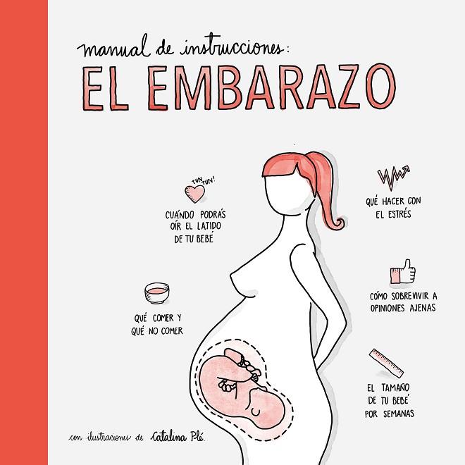 MANUAL DE INSTRUCCIONES: EL EMBARAZO | 9788408177548 | DIVERSOS