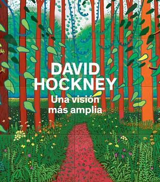 DAVID HOCKNEY UNA VISION MAS AMP | 9788475069999