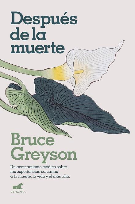 DESPUÉS DE LA MUERTE: UN ACERCAMIENTO MÉDICO SOBRE LAS EXPERIENCIAS CERCANAS A L | 9788418045578 | GREYSON, BRUCE