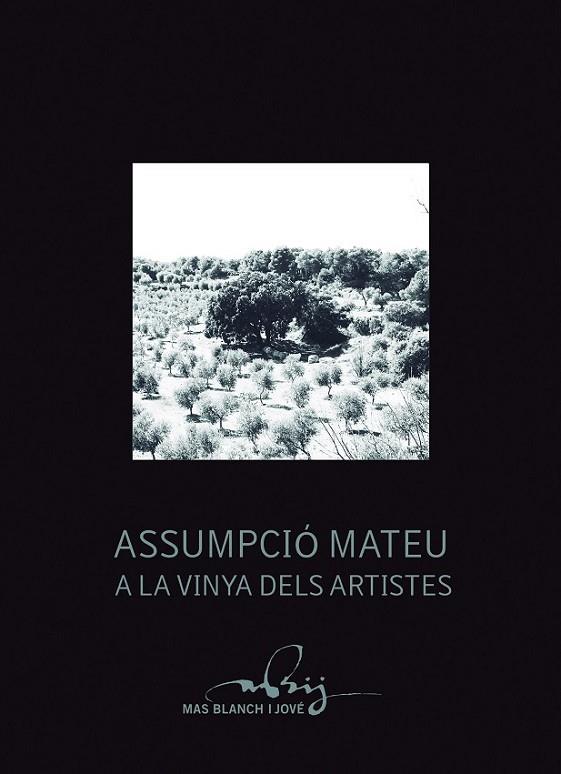 ASSUMPCIÓ MATEU A LA VINYA DELS ARTISTES | 9788499756417 | VARIOS AUTORES