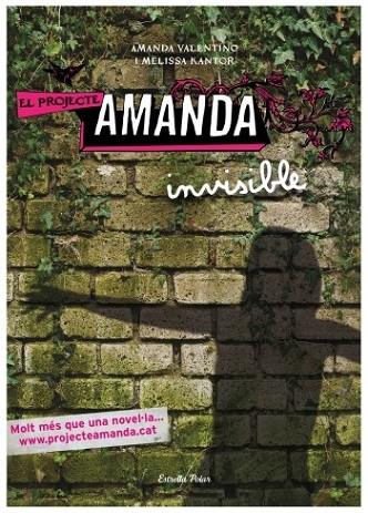 EL PROJECTE AMANDA INVISIBLE | 9788499322544 | VARIS