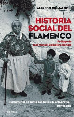 HISTORIA SOCIAL DEL FLAMENCO | 9788499420462 | CRIMALDOS