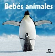 BEBES ANIMALES | 9788424624989 | VARIOS