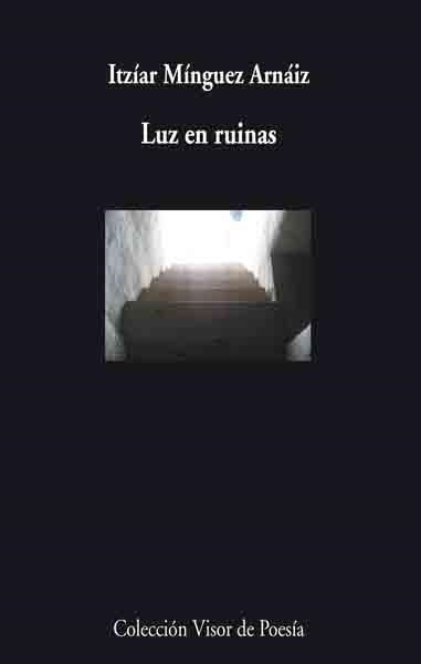 LUZ EN RUINAS | 9788475226644 | ARNAIZ