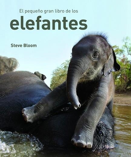 PEQUEÑO GRAN LIBRO DE ELEFANTES | 9788497543057 | BLOOM