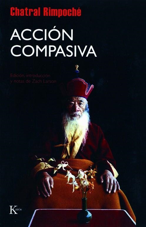 ACCION COMPASIVA | 9788472456976 | RIMPOCHE