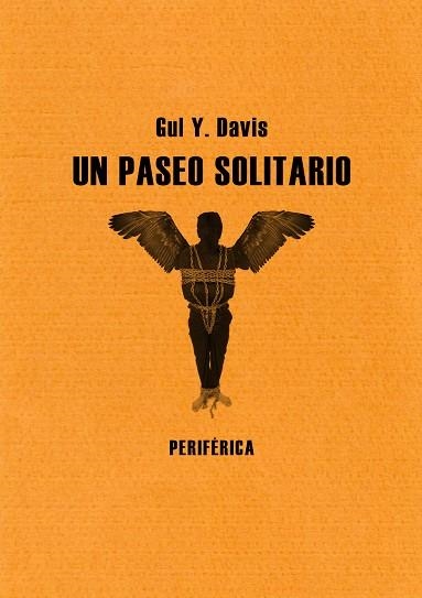 UN PASEO SOLITARIO | 9788493692636 | DAVIS