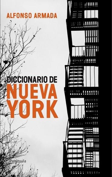 DICCIONARIO DE NUEVA YORK | 9788483079041 | ARMADA