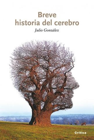 BREVE HISTORIA DEL CEREBRO | 9788498921151 | ALVAREZ