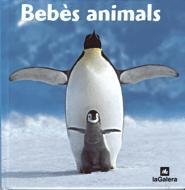 BEBES ANIMALS | 9788424624972 | VARIOS