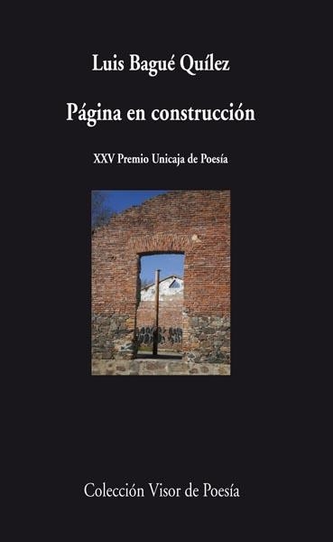 PAGINA EN CONSTRUCCION | 9788498957778 | QUILEZ