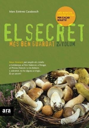 EL SECRET MES BEN GUARDAT 2 | 9788492406272 | ESTEVEZ CASABOSCH