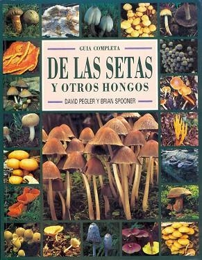 DE LAS SETAS Y OTROS HONGOS | 9788487756535 | VARIOS