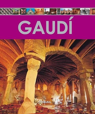 GAUDI | 9788499280288 | ESTéVEZ, ALBERTO T.