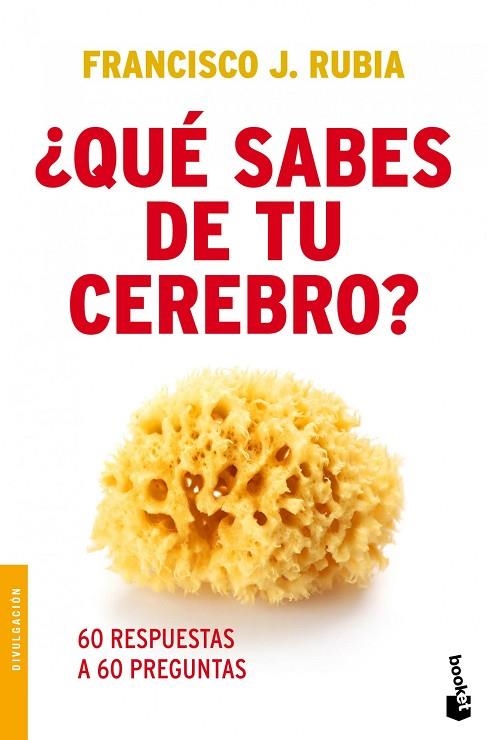 ¿QUE SABES DE TU CEREBRO? | 9788499980935 | RUBIA