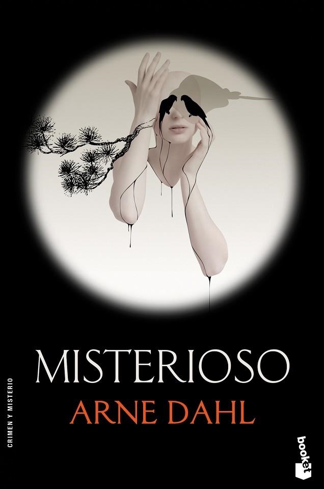 MISTERIOSO | 9788423320721 | DAHL