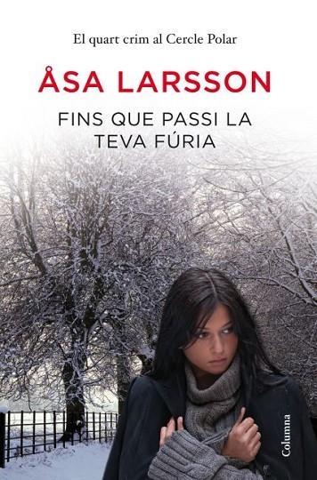 FINS QUE PASSI LA TEVA FURIA | 9788466415064 | LARSSON