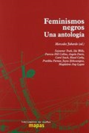 FEMINISMOS NEGROS UNA ANTOLOGIA | 9788496453739 | VARIS