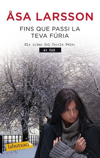 FINS QUE PASSI LA TEVA FURIA | 9788499306353 | LARSSON