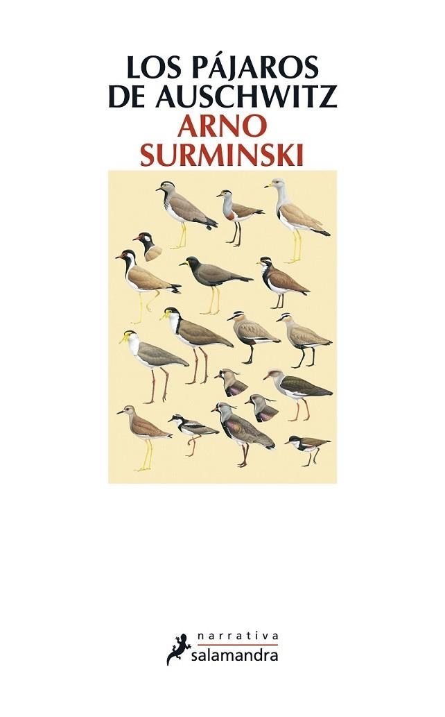 LOS PAJAROS DE AUSCHWITZ | 9788498384987 | SURMINSKI