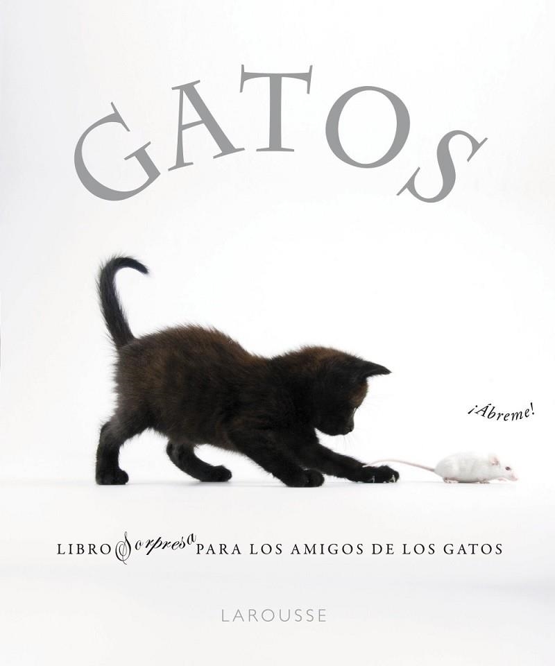 GATOS | 9788480169349