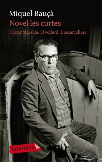 NOVEL·LES CURTES | 9788499302973 | BAUÇA, MIQUEL