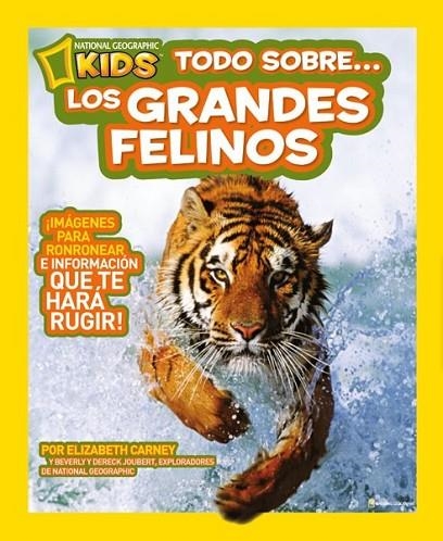 TODO SOBRE LOS GRANDES FELINOS | 9788482985664 | DIVERSOS