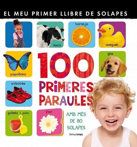 EL MEU PRIMER LLIBRE DE LES 100 PARAULES | 9788415790174 | DIVERSOS