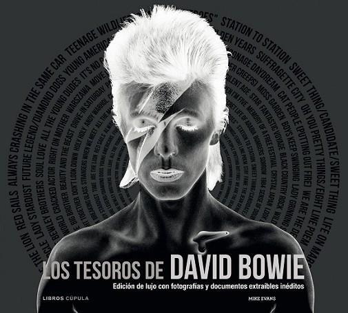 LOS TESOROS DE DAVID BOWIE | 9788448008918 | EVANS