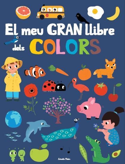 EL MEU GRAN LLIBRE DELS COLORS | 9788415853879 | DIVERSOS