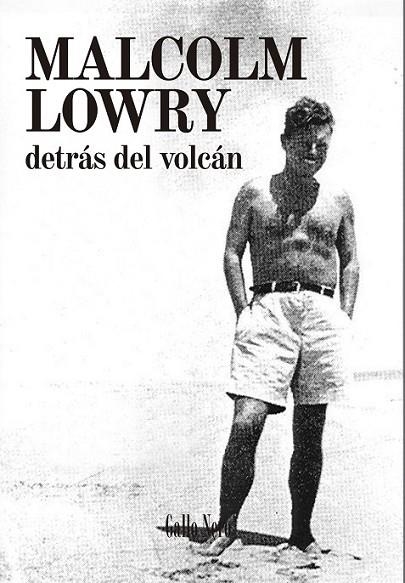 DETRAS DEL VOLCAN | 9788494108747 | LOWRY