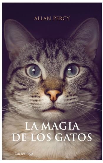 LA MAGIA DE LOS GATOS | 9788492545063 | PERCY