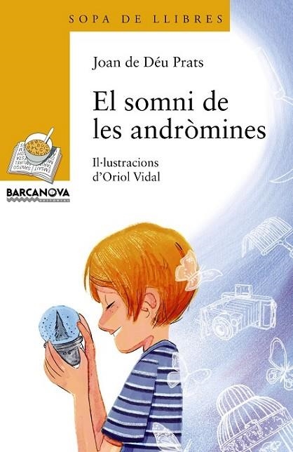 EL SOMNI DE LES ANDRÒMINES | 9788448933999 | PRATS