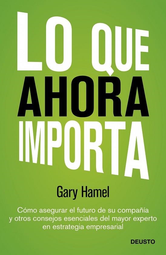 LO QUE AHORA IMPORTA | 9788423409143 | HAMEL