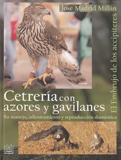 CETRERÍA CON AZORES Y GAVILANES | 9788485707669 | MADRID MILLÁN, JOSÉ