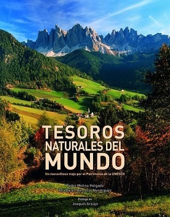 TESOROS NATURALES DEL MUNDO | 9788416177264 | DIVERSOS