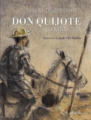 DON QUIJOTE DE LA MANCHA ILUSTRADO | 9788469807576 | CERVANTES/ VILA