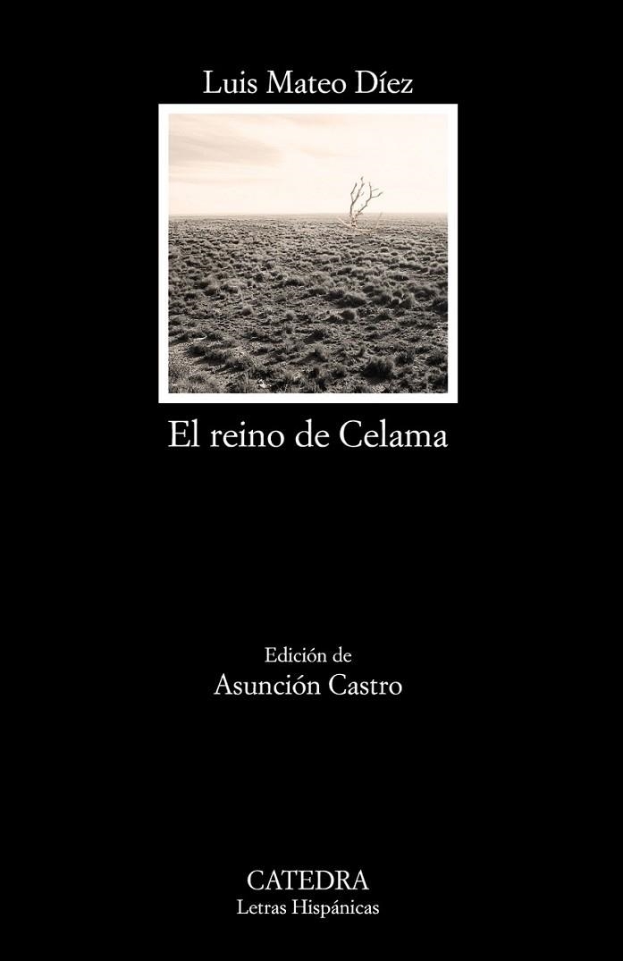 REINO DE CELAMA, EL | 9788437634791 | MATEO DÍEZ, LUÍS